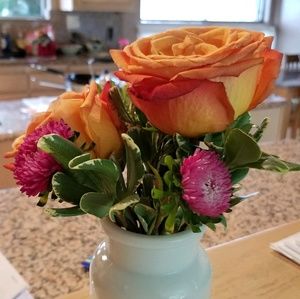 Meet your Posher, Mary Jo